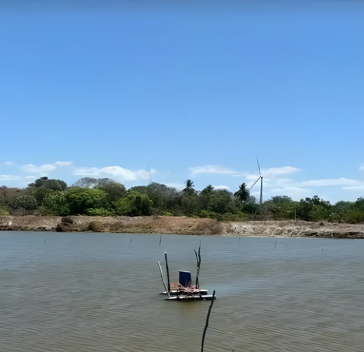 Viveiro de camarão com aerador na água e parque eólico ao fundo